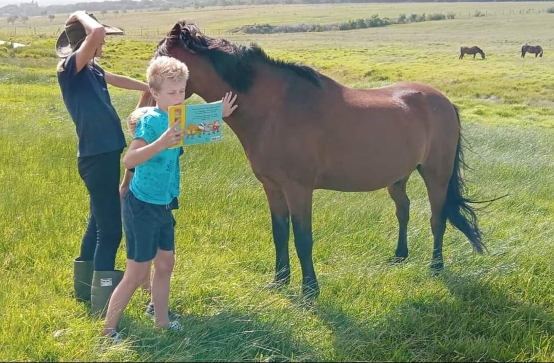 Overcoming Reading Anxiety